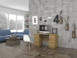 biurko-kuba-dab-artisan