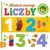maluch-poznaje-liczby