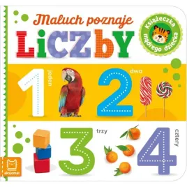 maluch-poznaje-liczby
