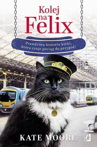 Grafika w opisie produktu