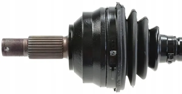 lobro-polos-prawa-pr-305100