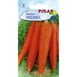 marchew-dolanka-polan