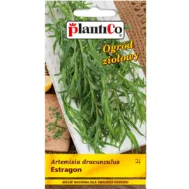 estragon-plantico