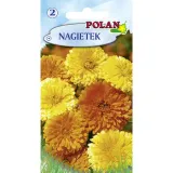 nagietek-polan