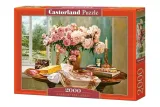 puzzle-2000-a-present-for-lindsey-castor