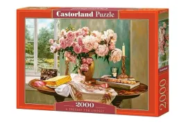 puzzle-2000-a-present-for-lindsey-castor