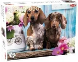 puzzle-1000-dashing-dachshunds