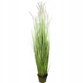 trawa-w-donicy-200-cm
