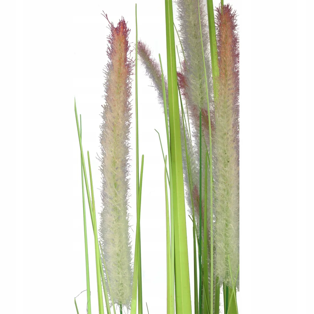 trawa-w-donicy-200-cm