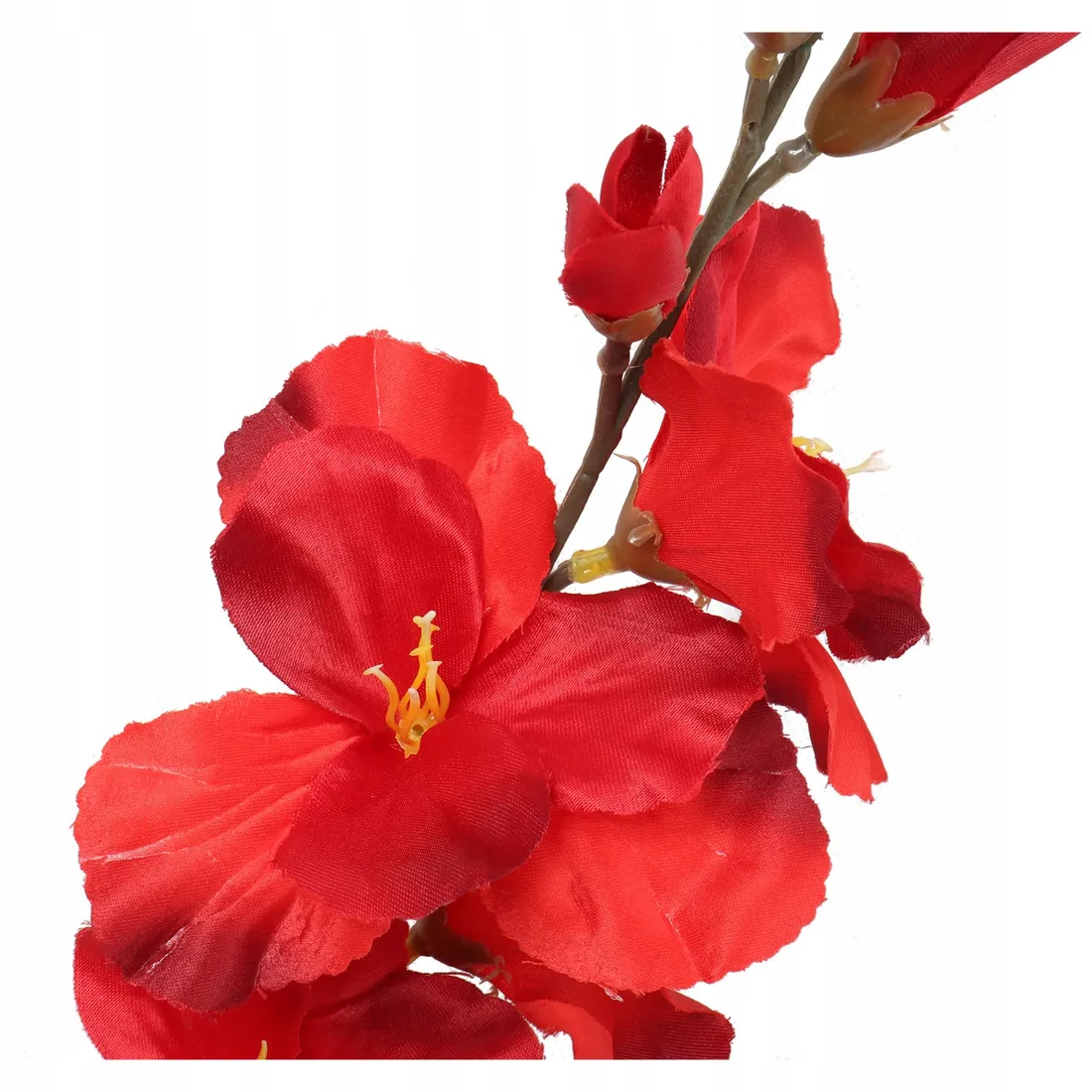 gladiola-czerwona-70cm