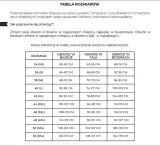 sukienka-jessica-40-wzor-dominujacy-bez-wzoru