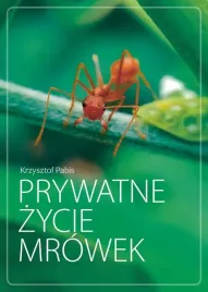 prywatne-zycie-mrowek