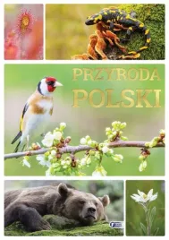przyroda-polski