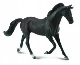 klacz-thoroughbred-masci-czarnej