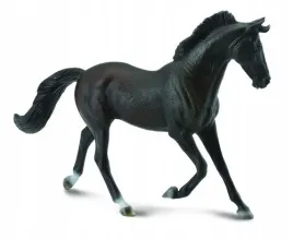 klacz-thoroughbred-masci-czarnej