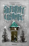 srebrny-chlopiec