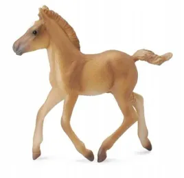 zrebie-haflinger-spacerujace