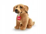 rhodesian-ridgeback