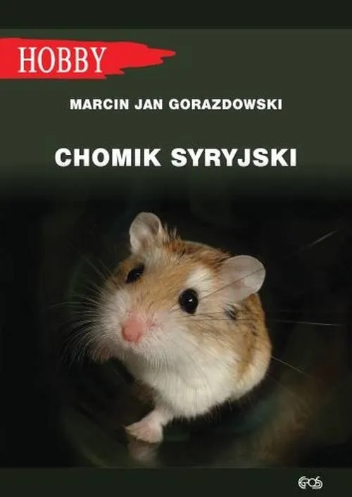 chomik-syryjski