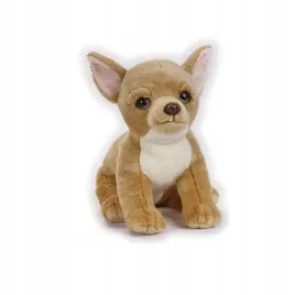 chihuahua-maskotka