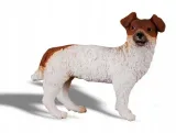 pies-jack-russell-terier