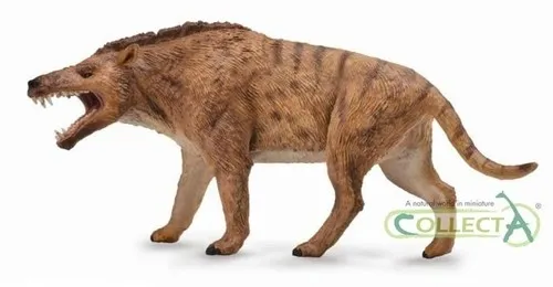 andrewsarchus