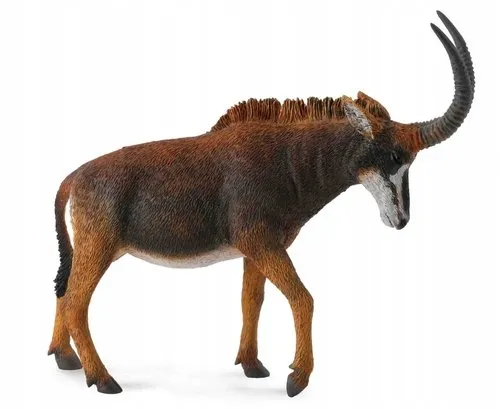 antylopa-wielka-sable-samica