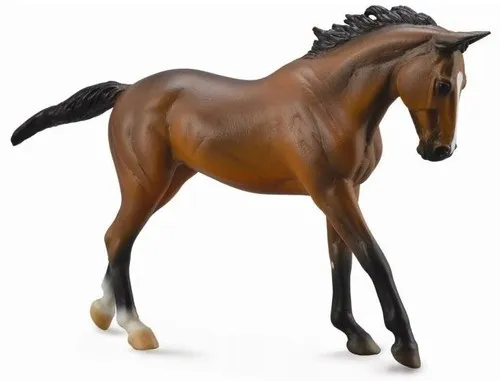 klacz-rasy-thoroughbred