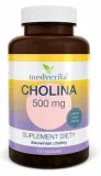 cholina-500mg-120-kapsulek