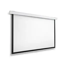 monitor-scienny-iggual-psies200-200-x-200-cm