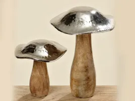 kpl-2-grzybkow