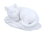 kot