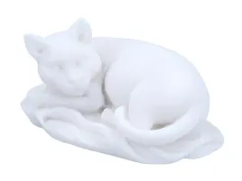 kot