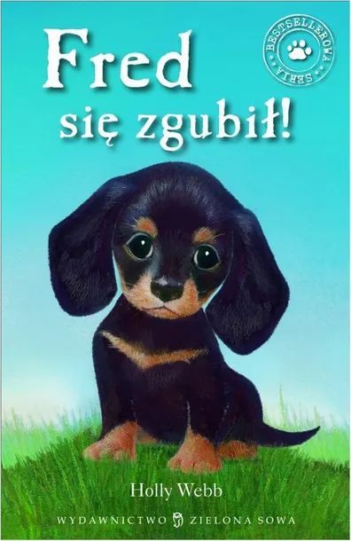 e-book-fred-sie-zgubil