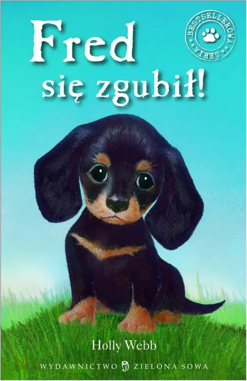 e-book-fred-sie-zgubil