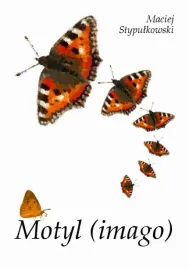 e-book-motyl-imago