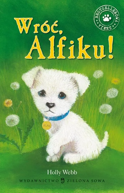 e-book-wroc-alfiku