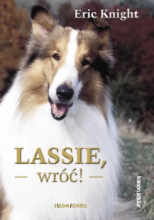 e-book-lassie-wroc