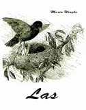 e-book-las