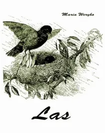 e-book-las