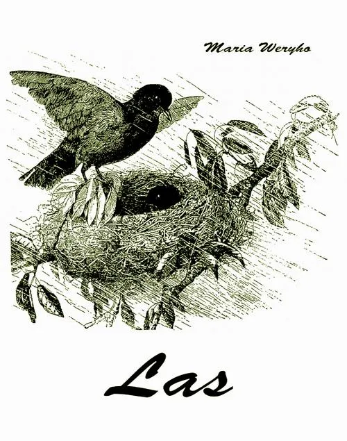 e-book-las