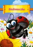 e-book-biedroneczka