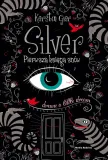 e-book-silver