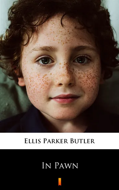 e-book-in-pawn