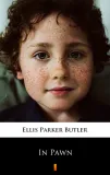 e-book-in-pawn