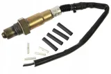 sonda-lambda-renault-grand-scenic-09-thalia
