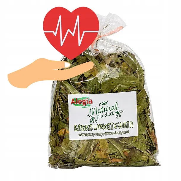 alegia-babka-lancetowata-100g-marka-alegia