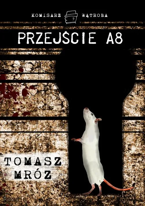 e-book-przejscie-a8