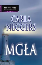 e-book-mgla