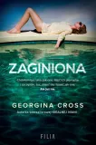 e-book-zaginiona